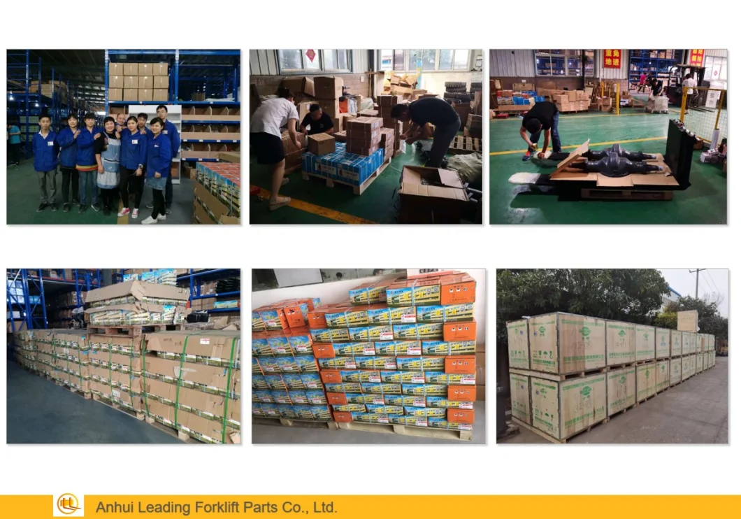 The Biggest China Forklift Parts Supplier with More Option